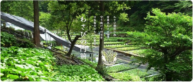 わさびの門前