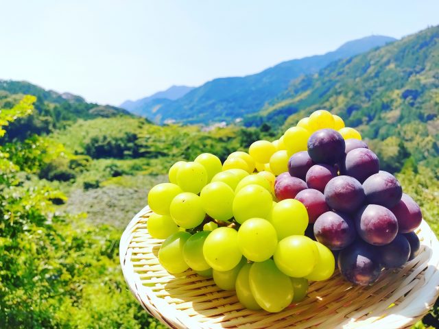 石切山農園の写真