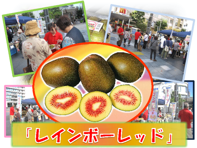 驚きの甘さ！レインボーレッドの試食販売イベント開催！