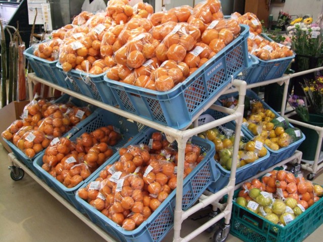 直売所レポート（７）ＪＡ静岡市ﾌｧｰﾏｰｽﾞﾏｰｹｯﾄ「北部じまん市」