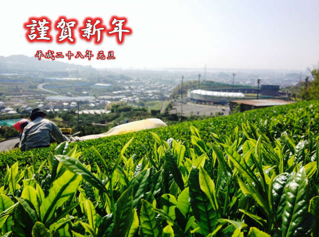 新年のごあいさつ