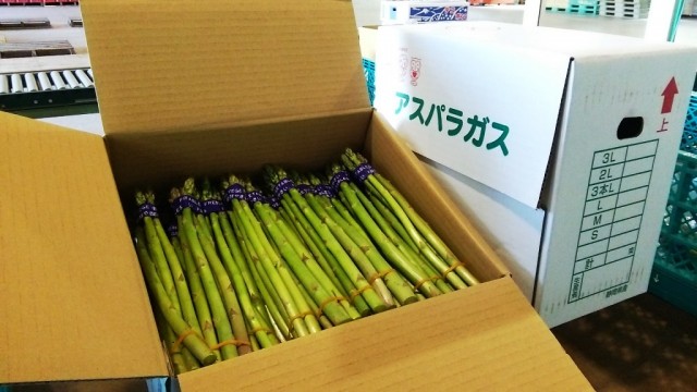 「アスパラガス」採れたてがおすすめ！