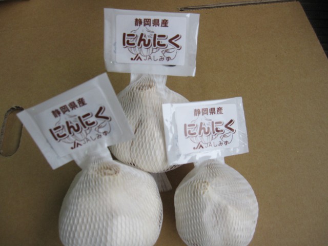 静岡市産の「にんにく」の出荷が始まります！