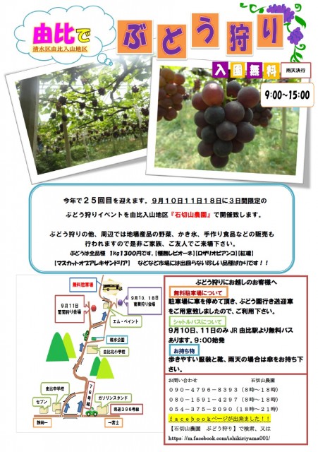由比でぶどう狩りイベント開催