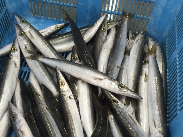 本日９月９日（金）毎月恒例のしずまえフェア開催します！