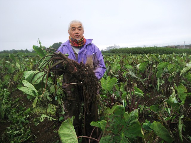 名前を覚えてね！旬の野菜「長田唐芋（おさだとうのいも）」