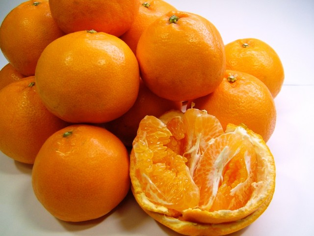 春を感じさせる味と香り「はるみ」