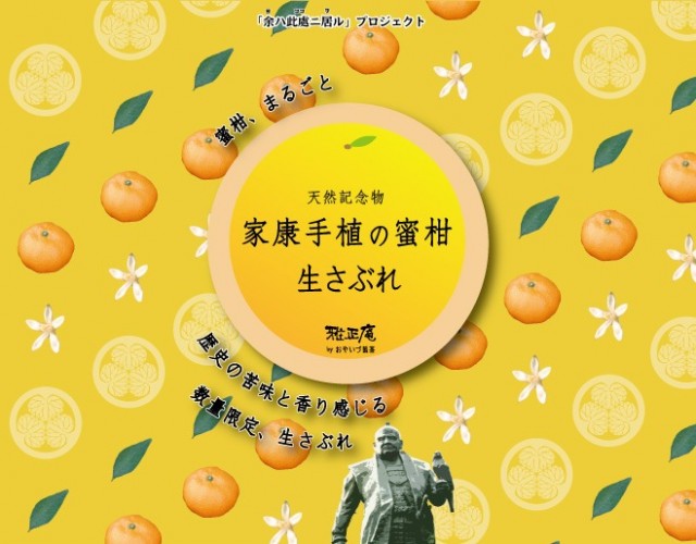 本日発売！「家康手植の蜜柑　生さぶれ」