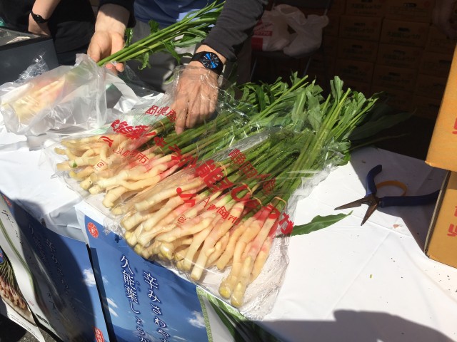 用宗漁港祭りで「葉しょうが」をPR! 用宗漁港祭りで「葉しょうが」をPR!