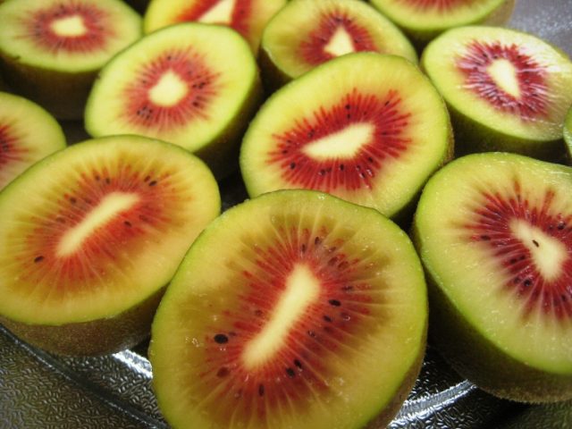 赤い果肉のキウイフルーツ「レインボーレッド」の出荷が始まりました。