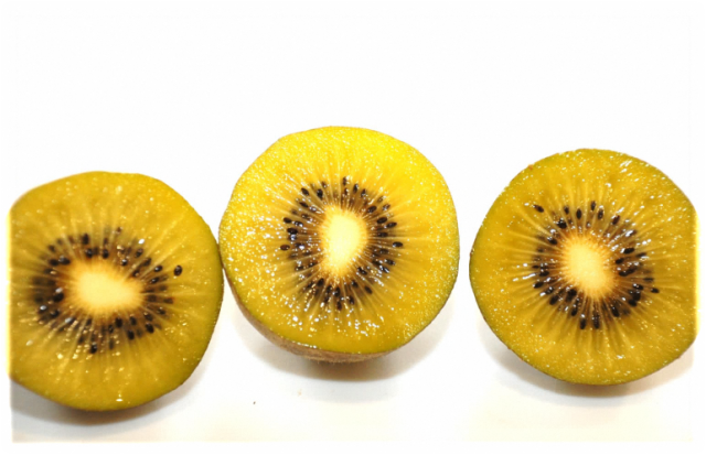 黄金色の果実？！静岡市産東京ゴールドのPRイベントを開催します。