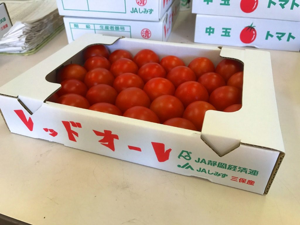 促成栽培発祥の地！清水区三保・折戸の「トマト」が出荷されています。の画像