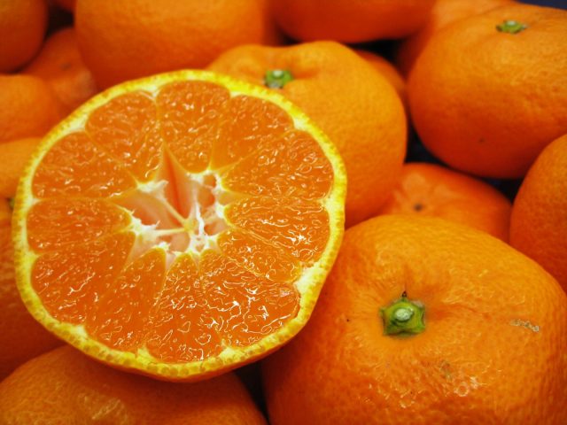 美味しく食べて健康に！静岡市産「青島みかん」の出荷が始まりました。