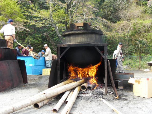 大釜茹で筍は必見！「善光寺とたけのこ祭り」