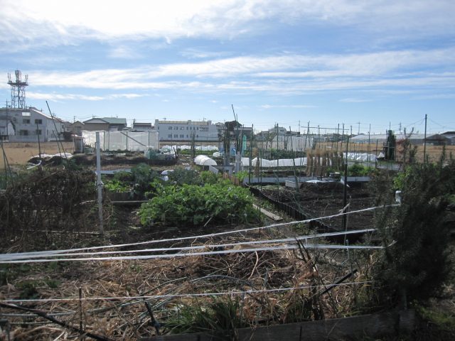 「市民農園」を利用してみませんか。