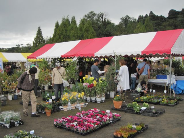 花と緑に囲まれる「春の園芸市」が開催されます。