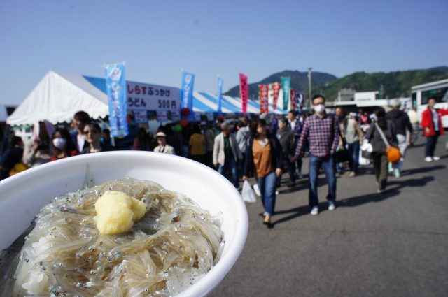 しずまえの代表格「しらす」が主役！「用宗漁港まつり」開催