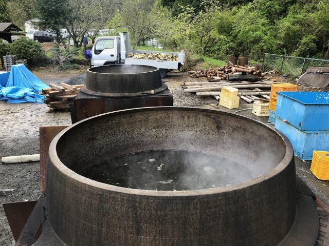 第30回善光寺とたけのこ祭り