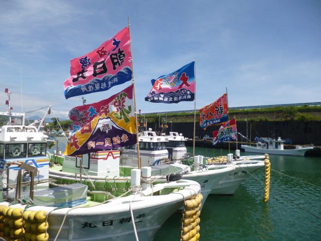 しずまえ鮮魚「桜えび」を堪能！！「由比桜えびまつり」が開催されます！