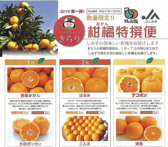 清水のおいしい柑橘が届く「柑橘特選便」 清水のおいしい柑橘が届く「柑橘特選便」