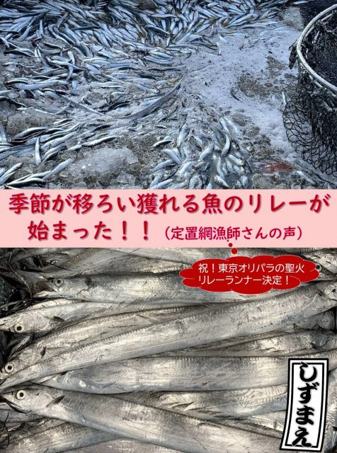 季節の移ろいを魚のリレーで感じる！