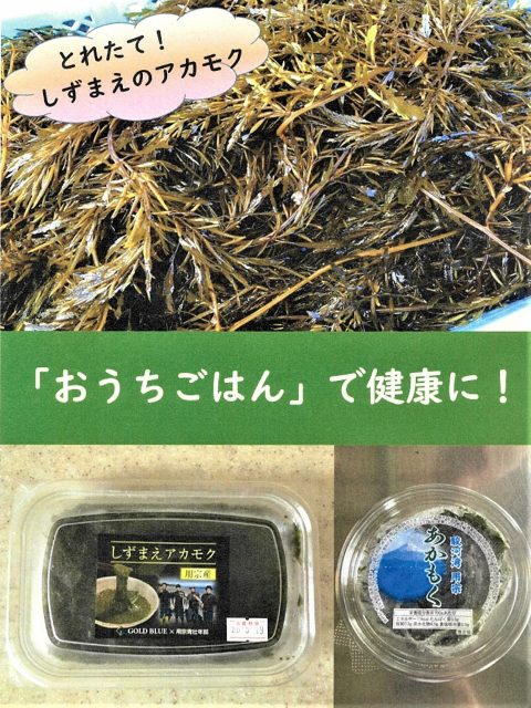 用宗アカモク販売開始！