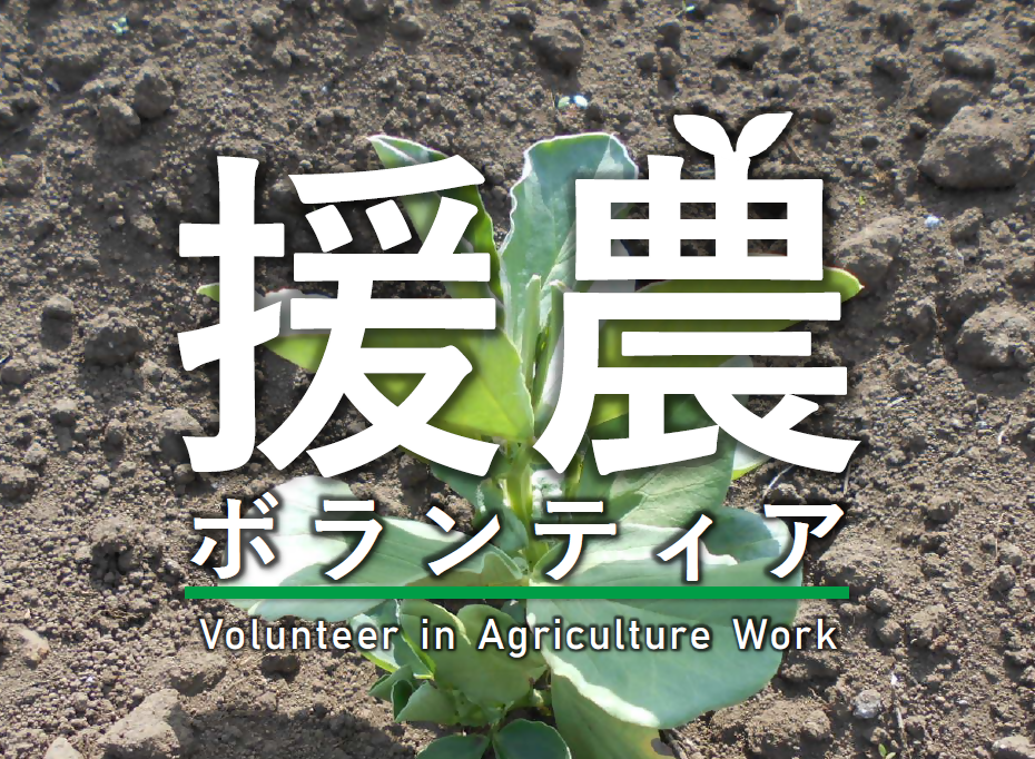令和４年度の「援農ボランティア」を募集します！の画像