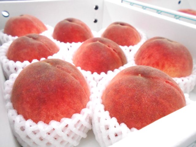 桃の品評会に行ってきました。「長田の桃」は今が旬！