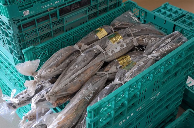 徳川家康公も食べていた！？「あさはた蓮根」初出荷！！
