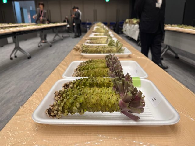 第40回全国わさび品評会が豊洲市場で開催されました! 第40回全国わさび品評会が豊洲市場で開催されました!