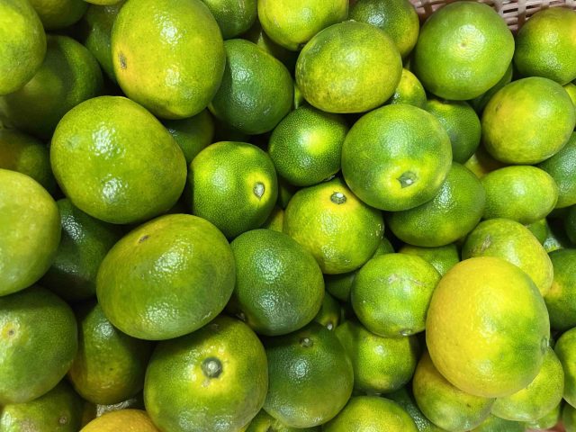 極早生ミカンに続け！露地ミカンの２番打者　「ゆら早生ミカン」初出荷！