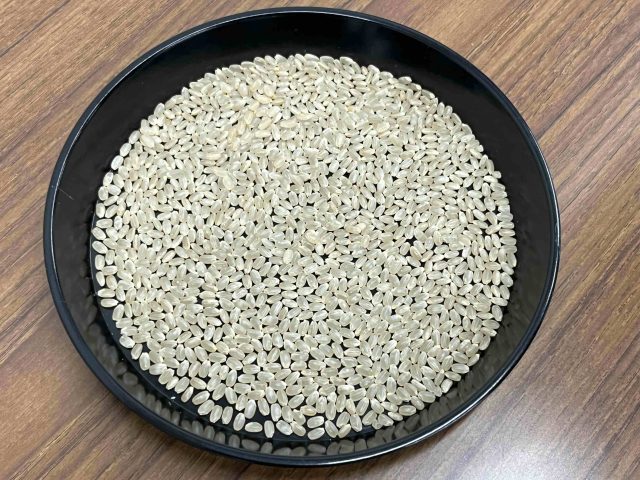 JA静岡市玄米品評会が開催されました。