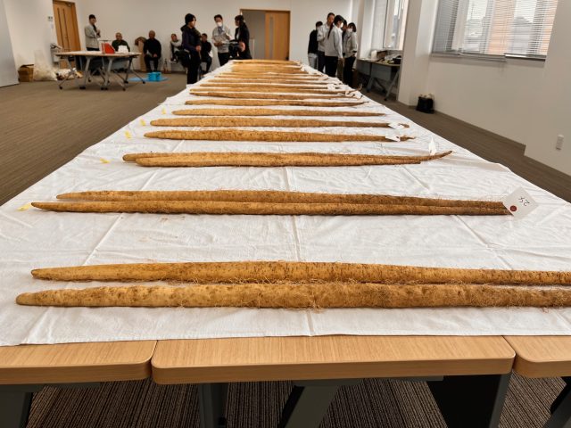 JA静岡市自然薯（じねんじょ）品評会が開催されました！
