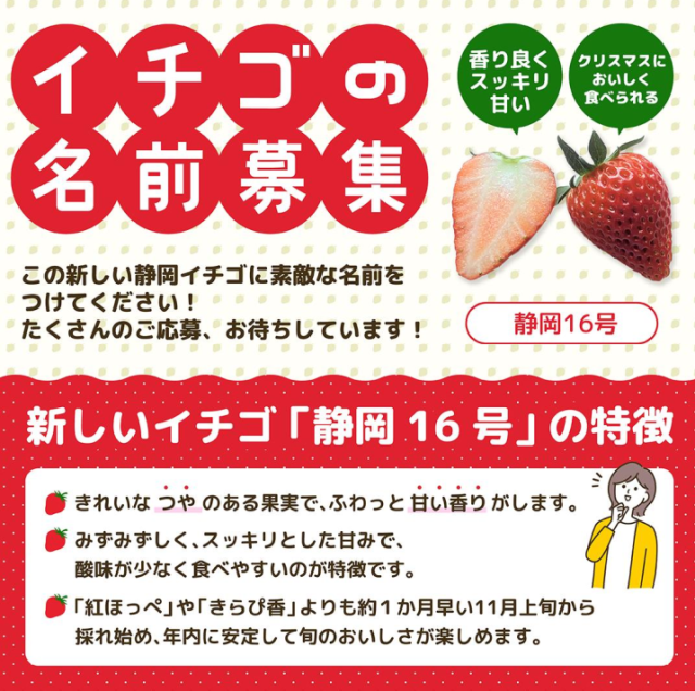 約10年ぶり!静岡県生まれの新イチゴ、名付け親になりませんか? 約10年ぶり!静岡県生まれの新イチゴ、名付け親になりませんか?