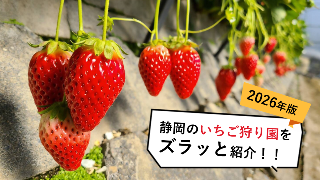 🍓久能・いちご海岸通りで石垣いちご狩り!🍓の画像