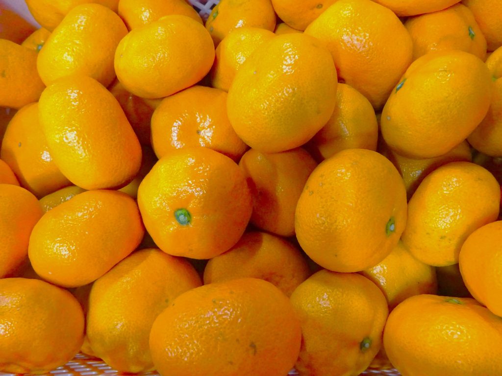 静岡みかん不動４番「青島温州みかん」が初出荷‼の画像