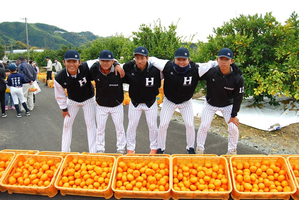 くふうハヤテベンチャーズ静岡の選手と一緒にミカンの収穫ボランティアを実施しました!の画像