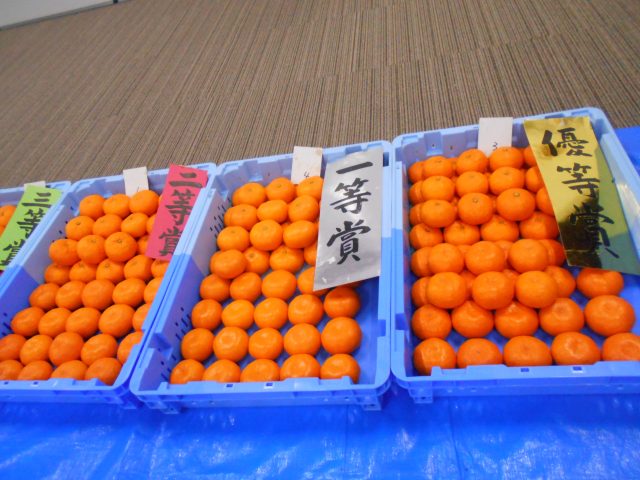 第34回ＪＡ静岡市貯蔵みかん・ポンカン品評会に行ってきました