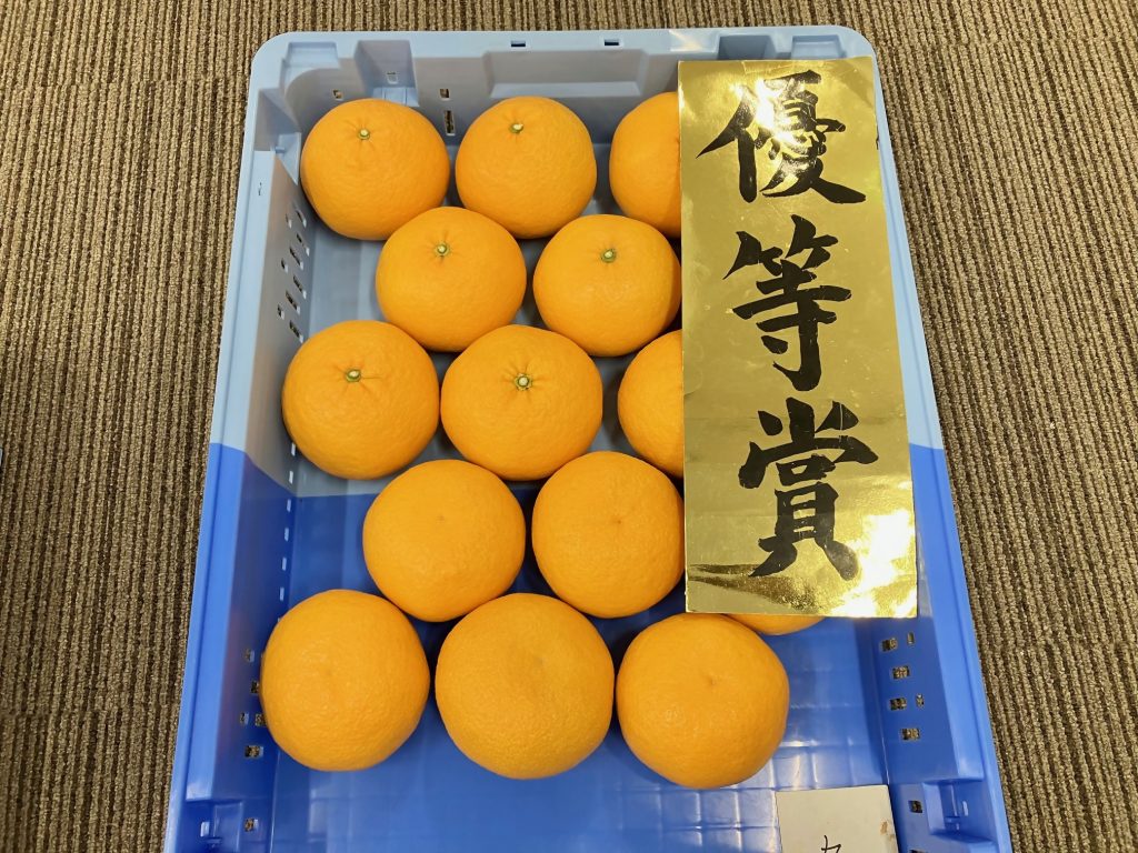 第34回JA静岡市中晩生柑橘果実品評会に行ってきましたの画像