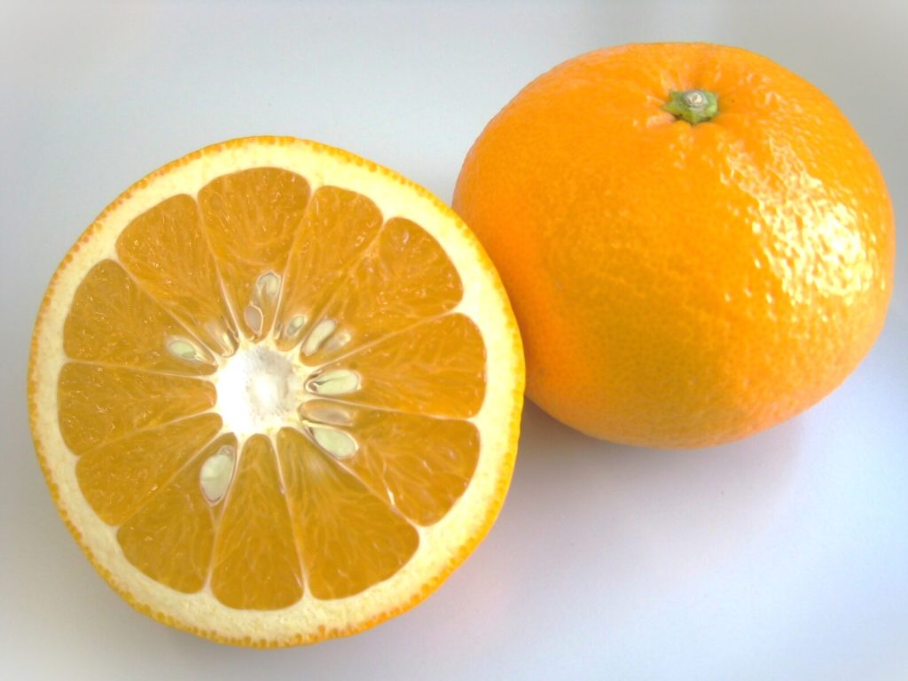 静岡特産！スルガエレガントが旬を迎えています🍊の画像