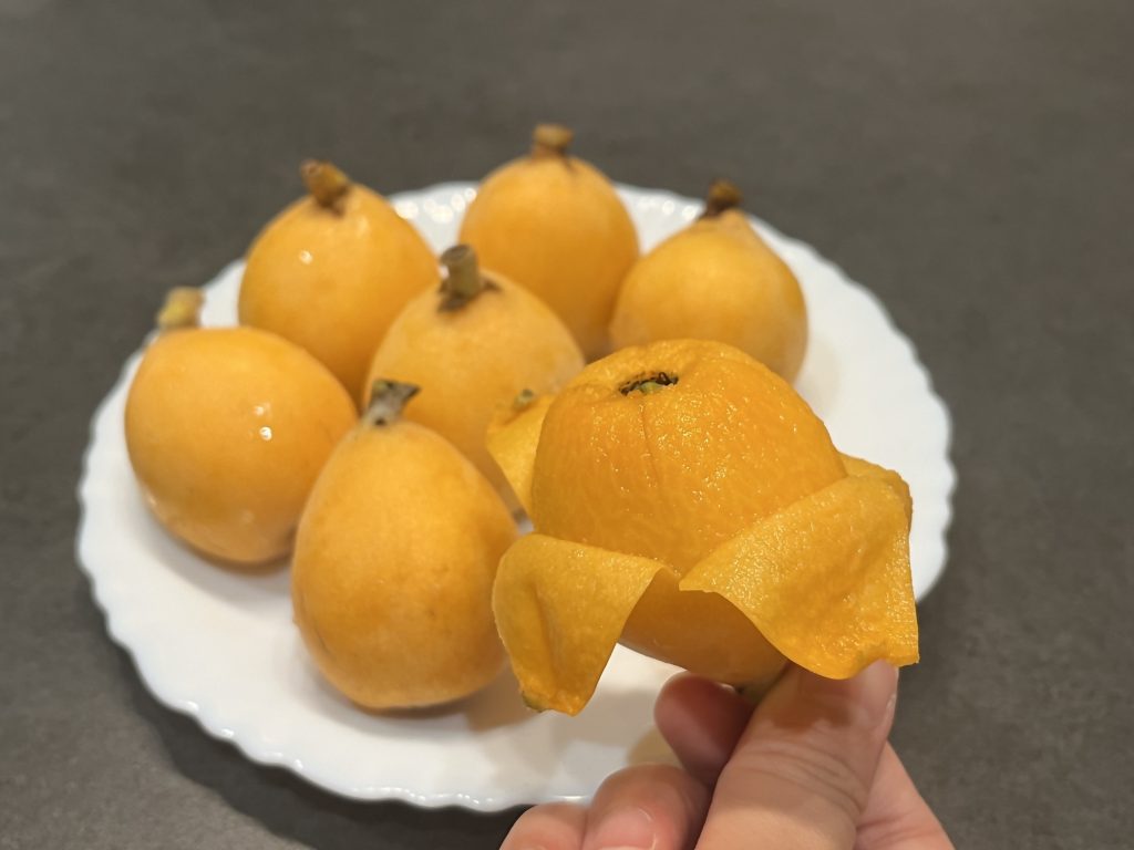 清水区のビワ、出荷スタート!の画像